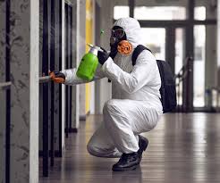 Mold Remediation for Rental Properties in Converse, TX