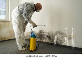 Mold Documentation for Insurance Claims in Converse, TX